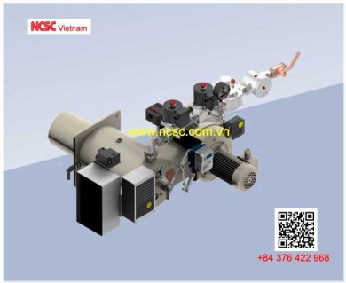 NECO combustion systems